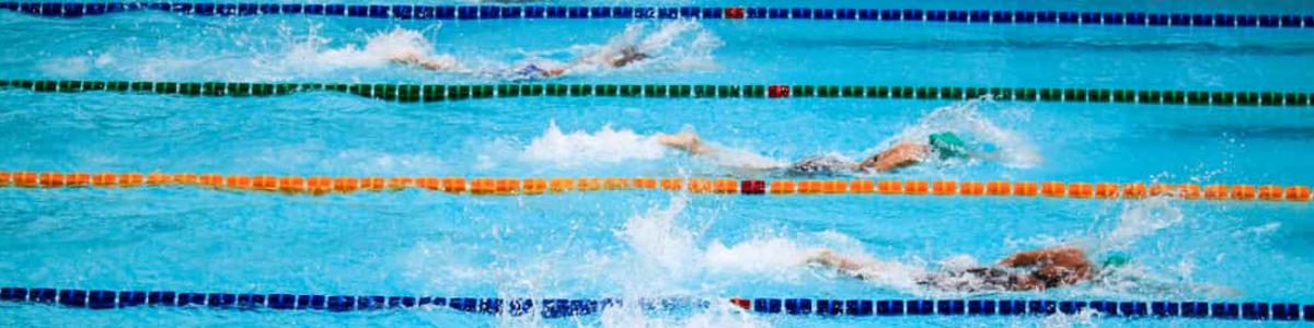 Sponsorenschwimmen 2023 / Schwimmclub Thalwil