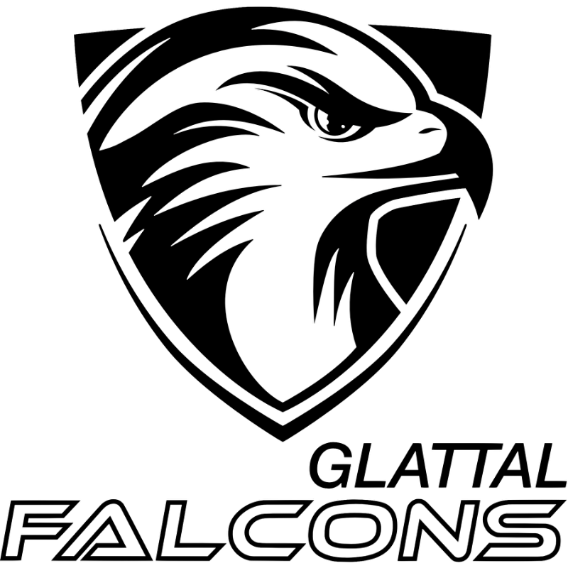 UHC Glattal Falcons