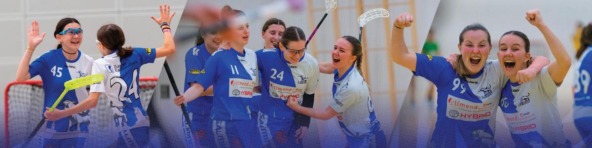 Punktesponsoring Floorball Zurich Lioness 2024/2025